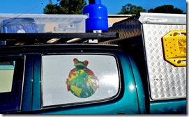 1230 Frosch am Hinterfenster (800x491)