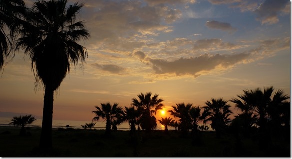 1113 fast so schön wie in Afrika (1024x554)