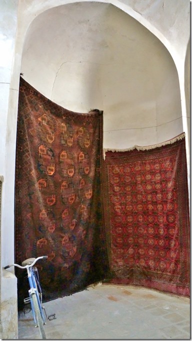 1886 Besonders sch&ouml;ne Exemplare  (575x1024)