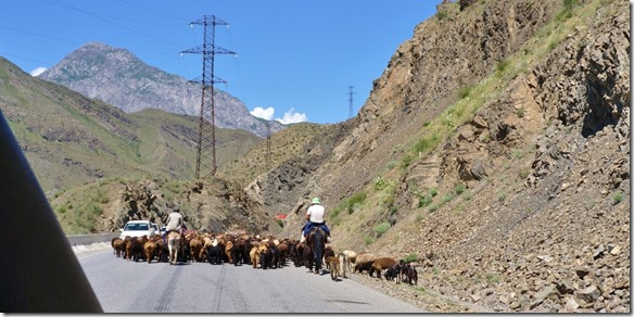 2069 Schafherden auf dem Tien-Schan Highway (1024x506)