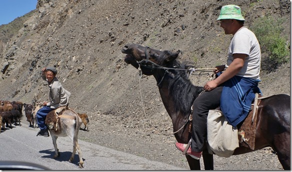 2971 Da lacht sogar ein Ross  (1024x600)