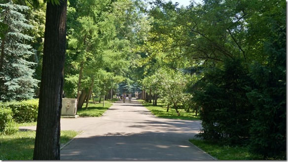 3059 Almaty hat viele Gr&uuml;nzonen zum Spazieren (1024x575)