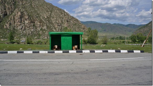 3143 Die zwei warten auf den Bus  (1024x575)