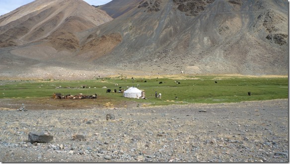 4024 Jeder grüne Platz wird von einer Familie mit ihren Herden besetzt  (1024x575)