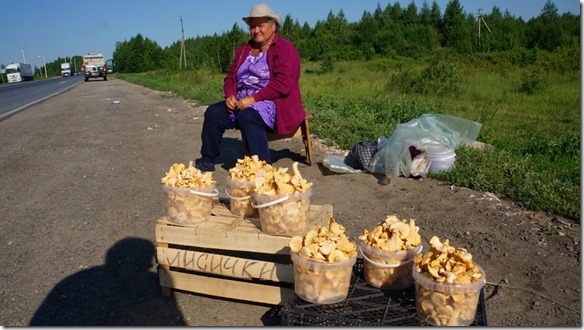 3476 Einer der vielen Pilzverkaufstände kurz nach Umet  (1024x575)