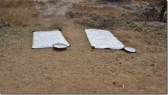 1699 Maismehl zum trocknen ausgelegt am Strassenrand