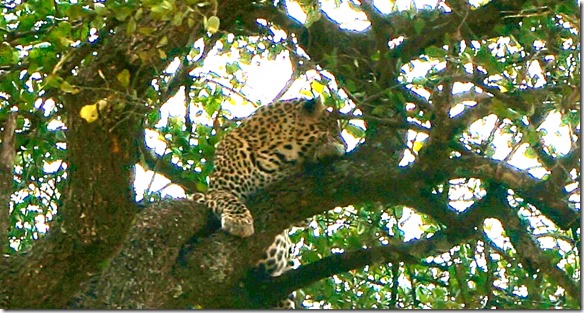 2121 so wohl man kann ein Schläfchen machen