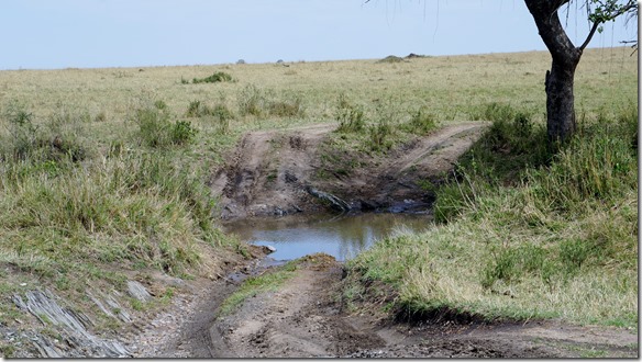 2162 da durch mit unseren Autos
