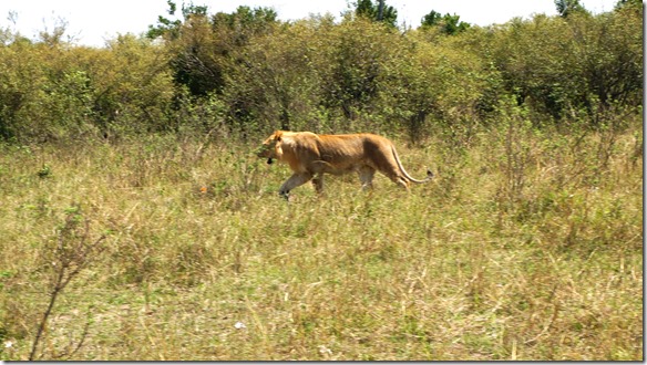 2167 jetzt fertig geruht, ich suche mal meine Kolleginen