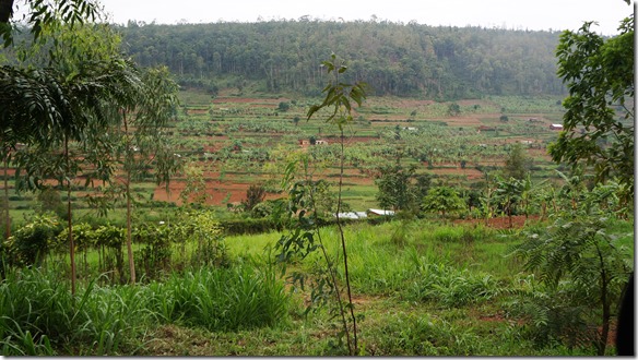 2255 übrall ist alles schön und gepflegt, jeder Quadratmeter ist bebaut