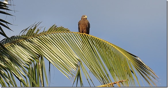 2301 er hat den Überblick