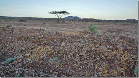 2335 so sieht eine Steinwüste aus