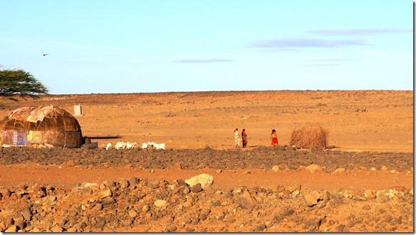 2338 viel wächst hier nicht aber die Leute leben in dieser Wüste von Kamel- und Rinderzucht