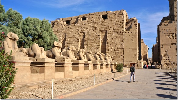 2939 der Weg gesäumt von mytischen Widdern