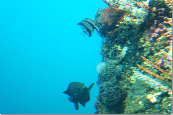 1103 alle wollen ihren Anteil am Frass