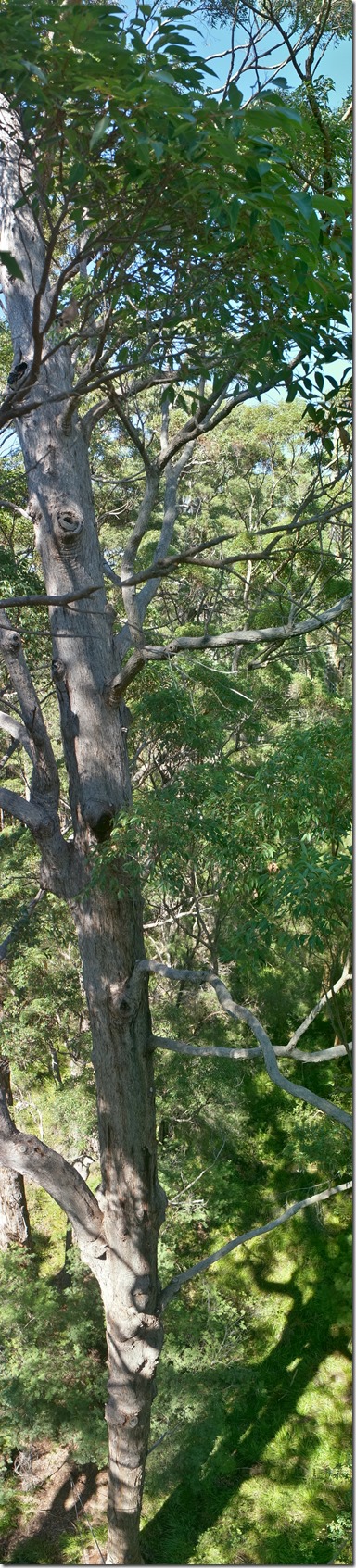 1219 diese Riesen passen kaum auf ein normales Foto 