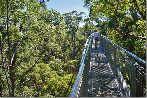 1220 ein sch&ouml;ner Rundgang auf der H&ouml;he