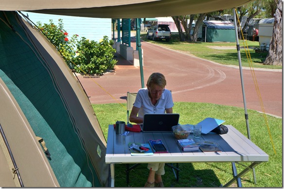 1240 das Blogschreiben an der warmen Sonne in Albany