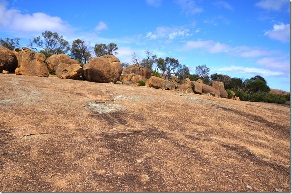 1264 eine ganze Ansammlung von runden Granitsteinen oberhalb des Wave Rocks