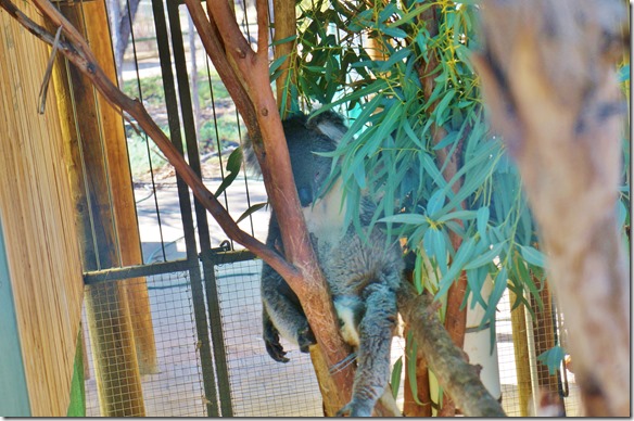 1284 wir haben ihn kurz wecken k&ouml;nnen 