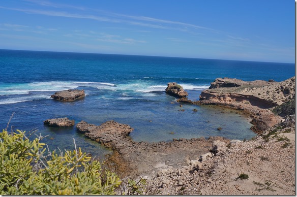 1361 schöne Klippen mit kleinen Buchten entlang des Klipp Top Drives vor Elliston