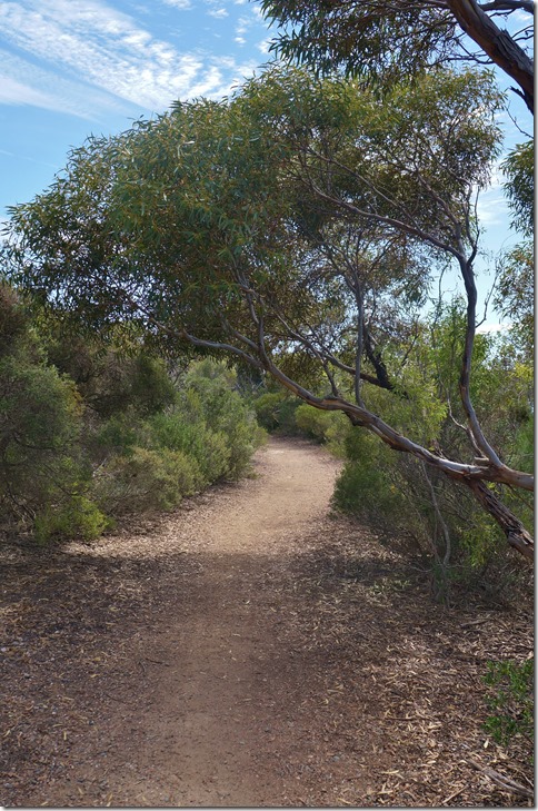 1400 durch den Busch auf einem Trail in Port Lincoln