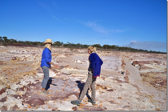 1465 diese Steinsformetionen sind aus der Entstehungszeit des Kontinents