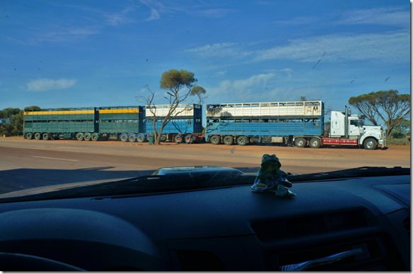 1503 weiss nicht wie lang der ist aber f&uuml;r Tiertransporte k&auml;me der in der Schweiz nicht in Frage = zu viele K&uuml;he auf zwei Stockwerken