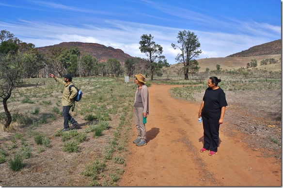 1524 unser F&uuml;hrer erkl&auml;rt uns die Pflanzen und ihre Bedeutung f&uuml;r die Aborginess