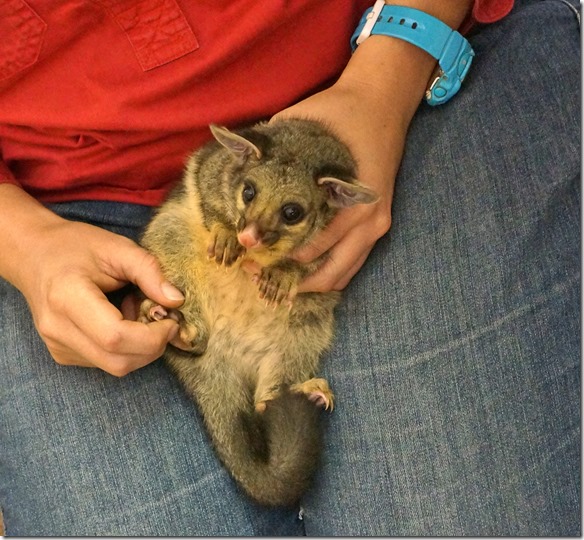 1530 sind doch herzig