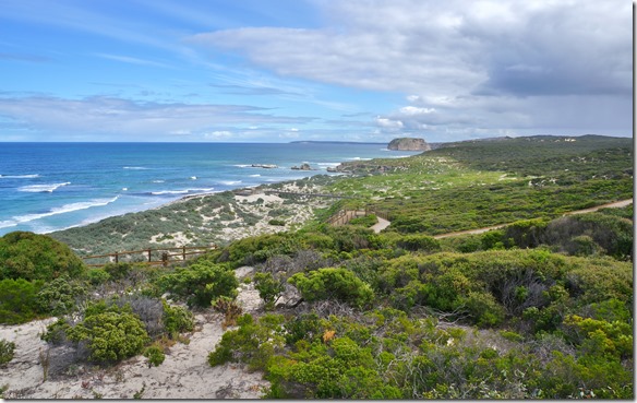 1611 in dieser sch&ouml;nen Bucht leben bis zu 300 Seel&ouml;wen