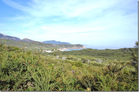 1775 Ausblick auf einem Abendspaziergang im Wilson Promotory Park