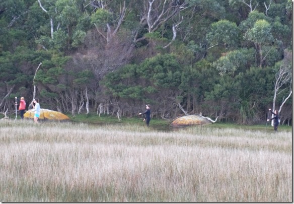 1776 wenn man den Fluss nicht sieht hat man das Gef&uuml;hl diese Leute gehen mit dem Paddel spatzieren