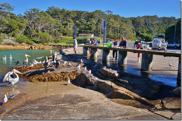 1854 die Fischer von Tathra reinigen hier an diesem Betontisch ihren Tagesfang