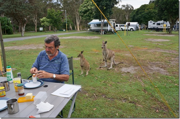 1978 die zwei (Mutter und Nachwuchs) sind &uuml;berhaupt nicht menschenscheu