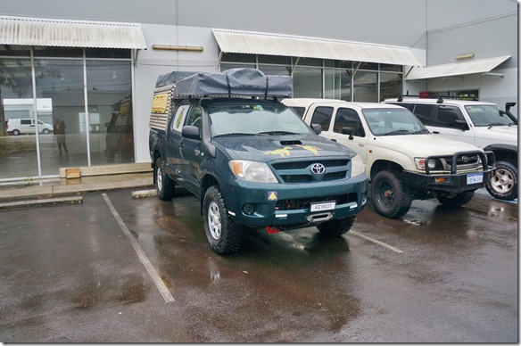 2080 der Frosch in seinem neuen Platz w&auml;hrend unserer Kurzreise in die Schweiz