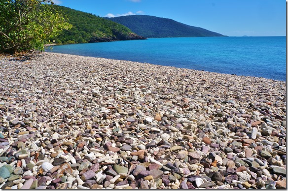 2582 eine Bucht mit nur toten, angeschwemmten Korallen