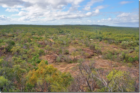 2694 zwischen den B&auml;umen sieht man das Camp