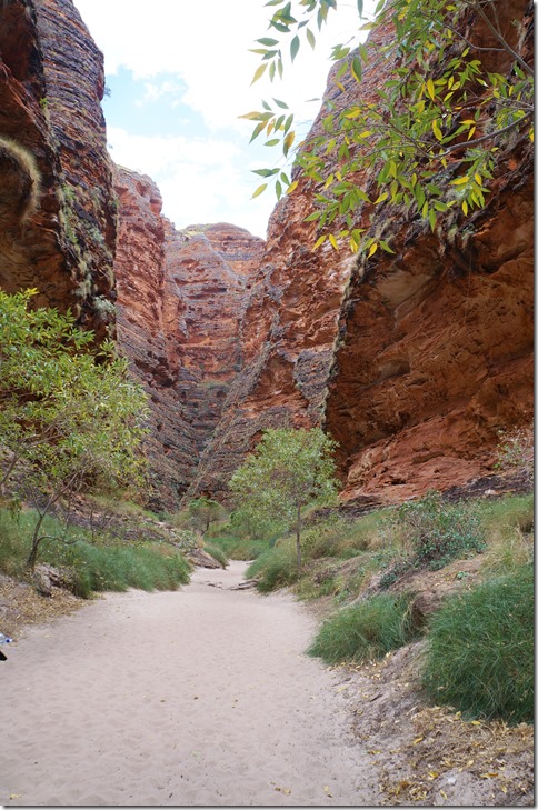 3078 der Eingang in die Cathedral Gorge