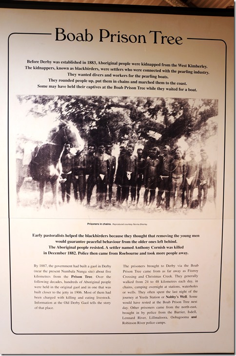 3312 der Berschrieb zum Prison Tree