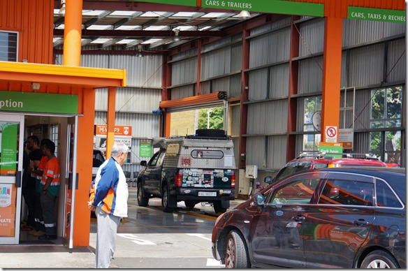 1006 Frosch auf der Grube