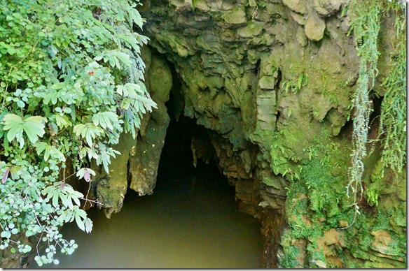 1062 wir besuchen die allgemeinen Höhlen auf eigene Faust durch den dichten Wald