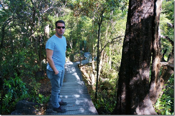 1132 auf dem Weg zu einem Lookout