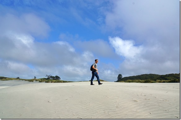 1155 und zurück zum Frosch