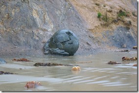 1270 wir gehen trotzdem zu den berühmten Bouldersteine an den Strand