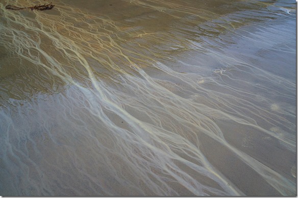 1278 das bafliessend Wasser hinterlässt wunderschöne Zeichnungen im Sand