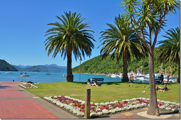 1298 zurück im Hafen von Picton