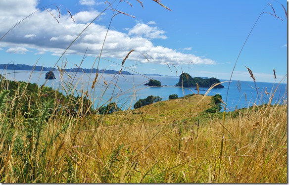 2026 auf diesen Inseln sind keine fremden Lebewesen wie Kaninchen, Raten und vieles mehr