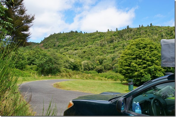 2061 der Busch hier ist unmöglich ohne Machete zu durchwandern = ein grüner Pelz 