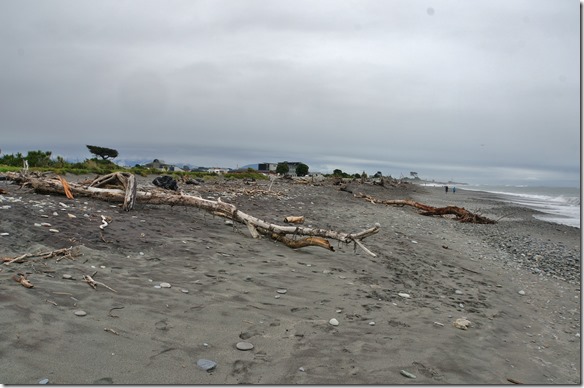 2475 hier in Hokitika liegt wiederum sehr viel angeschwemmtes Holz